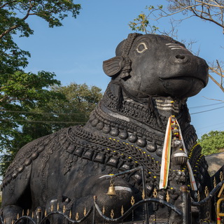 Mysore - Chumanudi heuvel - Nandi